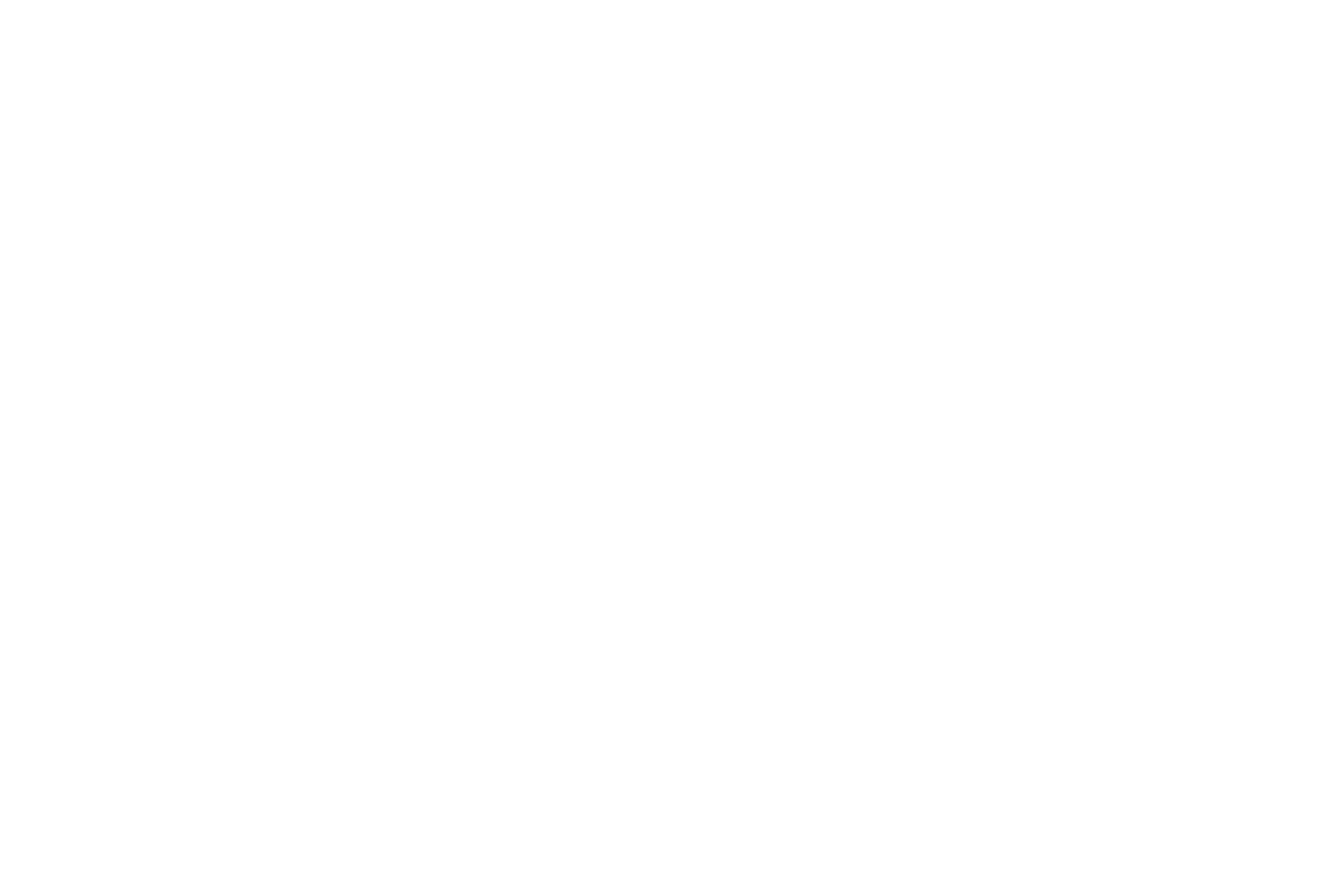 SISone Logo