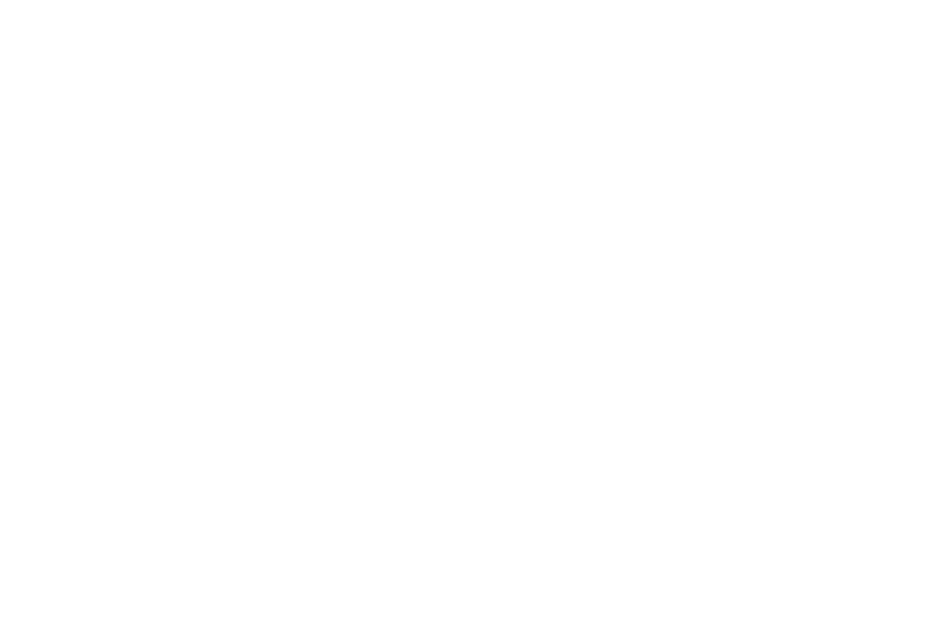 Quanos InfoTwin Logo